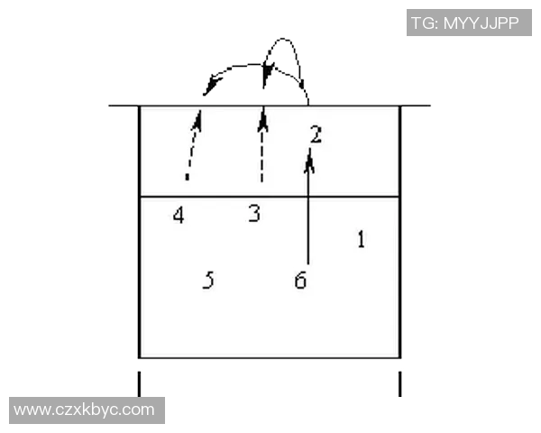 从零开始掌握排球技巧与战术提升全方位攻略与训练指南 从零开始掌握排球技巧与战术提升全方位攻略与训练指南