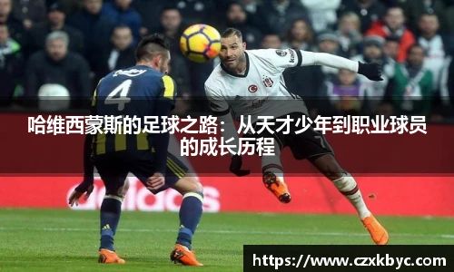 博鱼.boyu体育