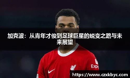 博鱼.boyu体育